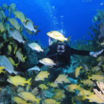Cancun: Scuba Diving for Certified Divers, 3 options to dive - A Closer Look at the Cancun Diving Experience