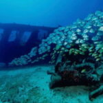 Cancun: Shipwreck and Reef Dives - Who Should Consider This Tour?