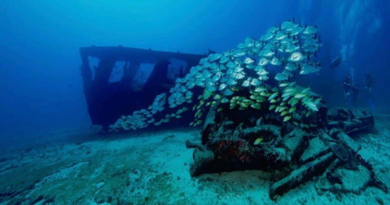 Cancun: Shipwreck and Reef Dives - Who Should Consider This Tour?