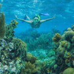 Cancun: Snorkel in MUSA Undewater Museum and Reef - Is This Tour Worth It?