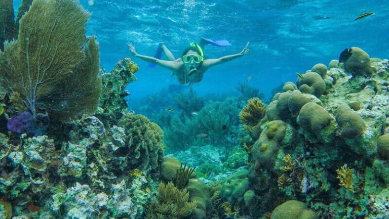 Cancun: Snorkel in MUSA Undewater Museum and Reef - Is This Tour Worth It?