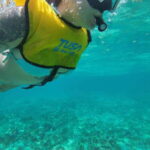 Cancun: Snorkeling Boat Tour with Gear - What to Expect During the Tour