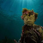 Cancun: Snorkeling Tour at MUSA The Underwater Museum - The Experience: A Deep Dive into the Details