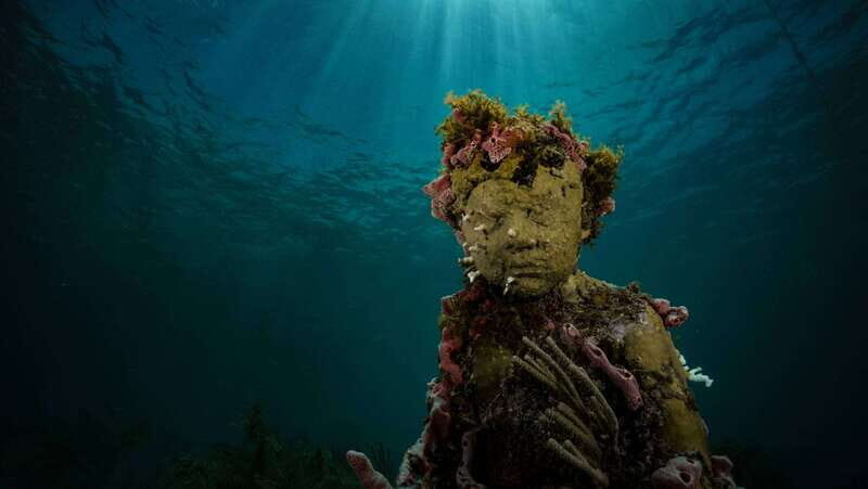 Cancun: Snorkeling Tour at MUSA The Underwater Museum - The Experience: A Deep Dive into the Details