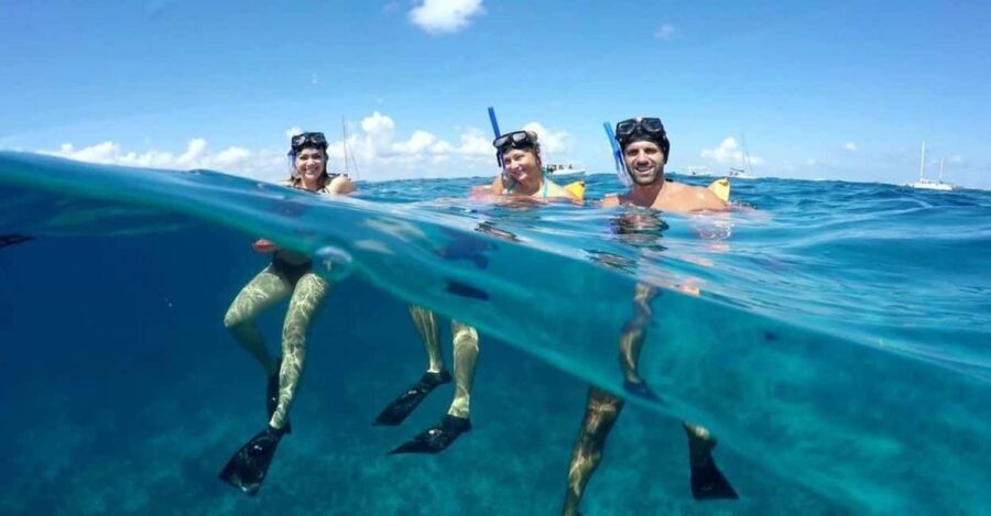 Cancun: Snorkeling Tour with Hotel Pickup - Starting Off: Easy Pickup and Comfortable Transport