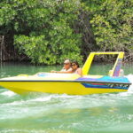Cancun: Speedboat Mangrove Jungle & Snorkel Tour - Exploring Cancun’s Mangrove Jungle and Reefs