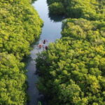 Cancun: Sunset Kayak Experience in the Mangroves - What Sets This Tour Apart?