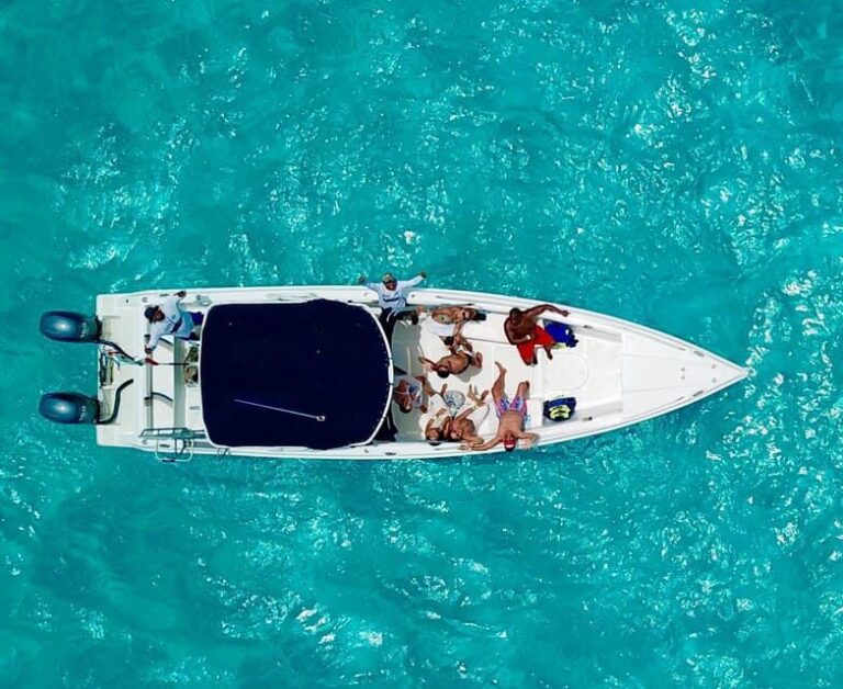 Cancún: Swim with Whale Sharks & Playa Norte Beach - Detailed Breakdown of the Experience