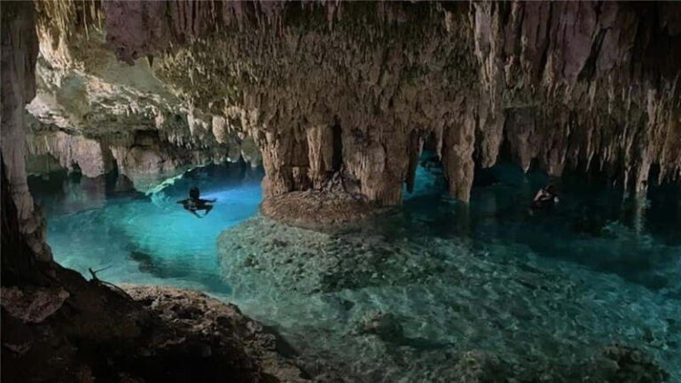Cancun: Tulum & Cenotes Private Tour - Practical Details and What You Need to Know