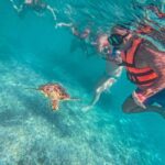 Cancun: Tulum Ruins, Akumal Turtles, Cenote & Caves Tour - In-Depth Look at the Itinerary