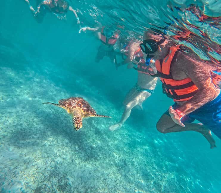 Cancun: Tulum Ruins, Akumal Turtles, Cenote & Caves Tour - In-Depth Look at the Itinerary