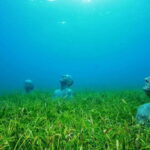 Cancún: Underwater Museum & Reef for Certified Scuba Divers - Authentic Experiences and Traveler Feedback