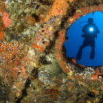Cancún: Wreck and Reef for Certified Scuba Divers - Why This Tour Offers Good Value