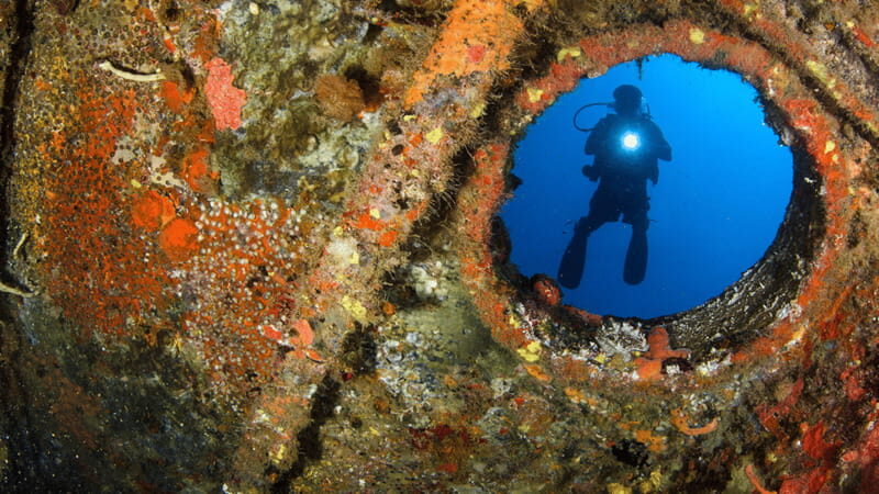 Cancún: Wreck and Reef for Certified Scuba Divers - Why This Tour Offers Good Value
