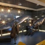 Caniçal : Madeira Whale Museum Entry ticket - FAQ (Frequently Asked Questions)