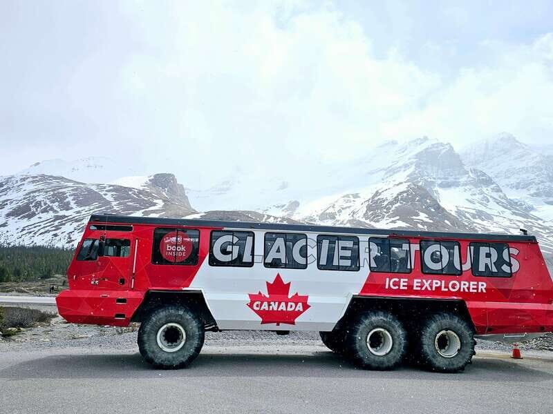 Canmore/Banff: Columbia Icefield, Skywalk, Peyto Day Tour - An In-Depth Look at the Columbia Icefield, Skywalk, and Peyto Lake Tour