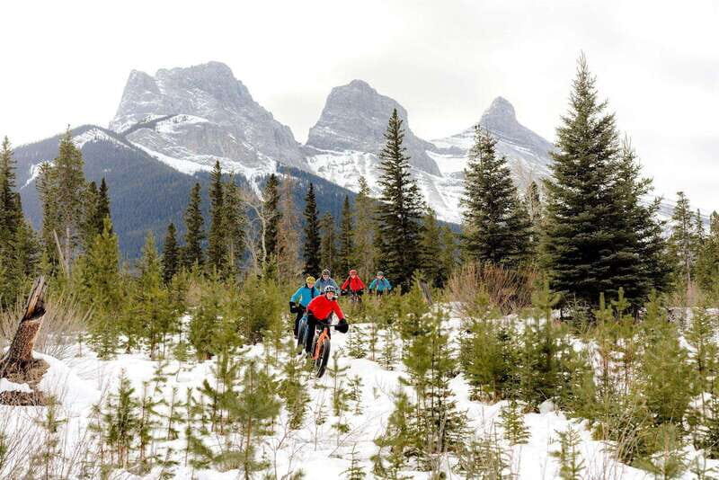 Canmore: Explore Winter Wildlife Tracks - 2hr Nature Walk - Detailed Breakdown of the Experience
