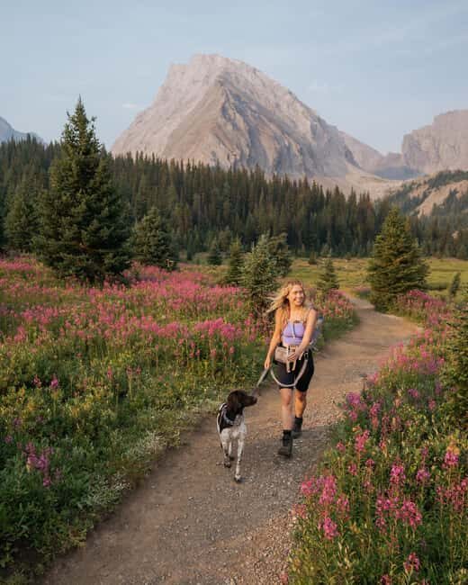 Canmore: Medicinal and Edible Plants, 2-hour Nature Walk - Evaluating the Value: Is It Worth It?