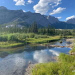 Canmore: PRIVATE SAFARI Drive to BANFF Park & Nature Walk - A Deep Dive into the Experience