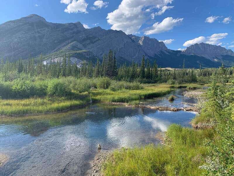 Canmore: PRIVATE SAFARI Drive to BANFF Park & Nature Walk - A Deep Dive into the Experience
