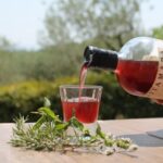 Cannara: Herbal Liqueur tasting with food pairing - In-Depth Review of the Herbal Liqueur Tasting Experience