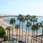 Cannes & Grasse: Private Half-Day Shore Excursion - Who Should Consider This Tour?