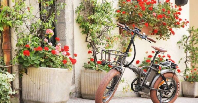 Cannes: rent an E-bike to visit the city - The Sum Up
