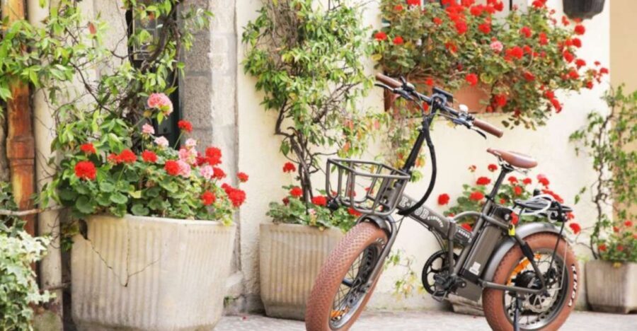 Cannes: rent an E-bike to visit the city - The Sum Up
