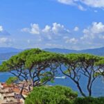Cannes, Saint Tropez & Golden Coast Private Tour - What’s Included and What’s Not