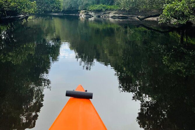 Canoe Hire - The Experience in Detail