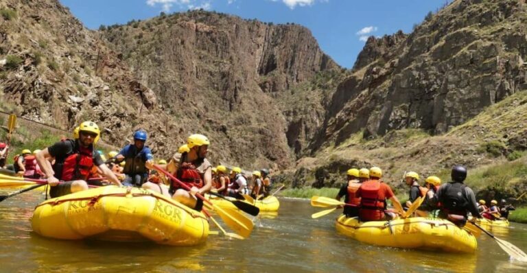 Cañon City: Royal Gorge Half-Day Whitewater Rafting - Who Should Book This Tour?