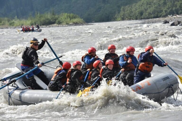 Canyon Run: Denali National Park Class IV Whitewater Rafting - Why This Tour Offers Great Value