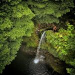 Canyoning Adventure in Ribeira da Salga (Sao Miguel - Azores) - An In-Depth Look at the Canyoning Tour in Ribeira da Salga