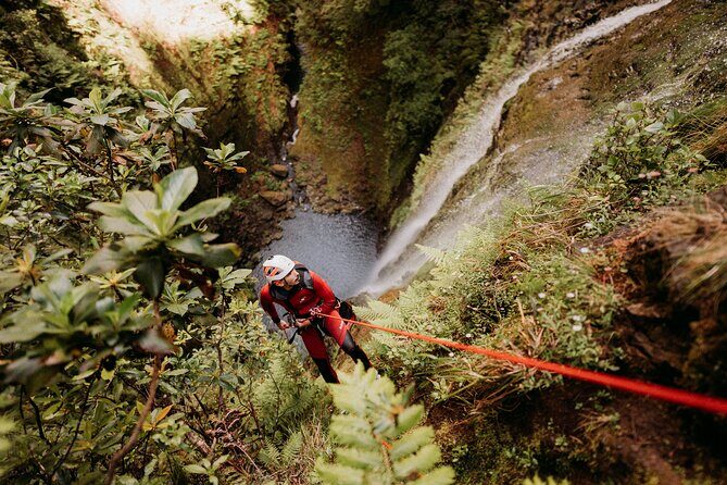 Canyoning Madeira Premium Advanced - What to Expect from the Madeira Premium Advanced Canyoning Tour