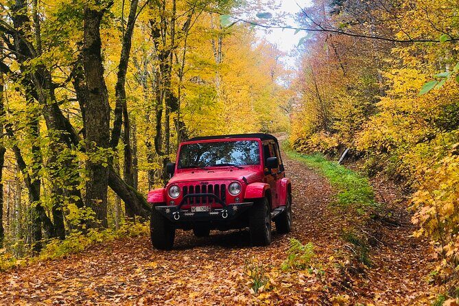 Cape Breton Scenic Jeep Adventure - A Deep Dive into the Cape Breton Scenic Jeep Adventure
