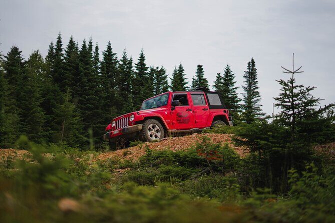 Cape Clear Look-off Express - Private Jeep Tour - What Travelers Love About This Tour
