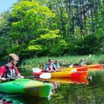 Cape Cod Explorer Tour - Final Thoughts: Is It Worth Your Time?