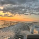 Cape Coral: Private Dolphin and Sunset Cruise - Why This Tour Provides Great Value