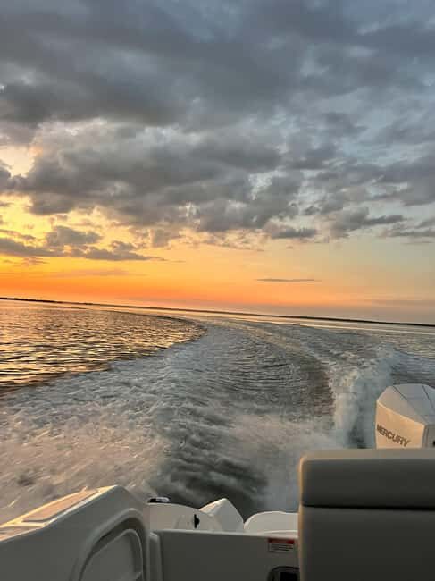 Cape Coral: Private Dolphin and Sunset Cruise - Why This Tour Provides Great Value
