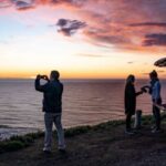 Cape Kidnappers: Gannet Colony Exclusive Sunrise Tour - A Deep Dive into the Cape Kidnappers Sunrise Tour