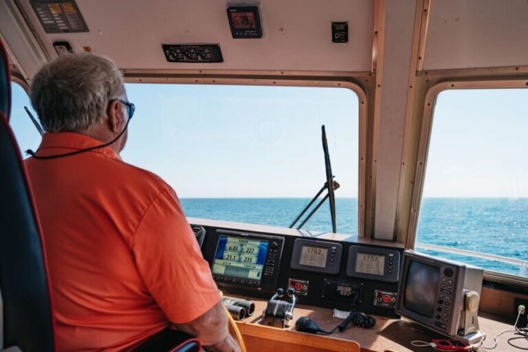 Cape May: Jersey Shore Whale and Dolphin Watching Cruise - The Pros and Cons