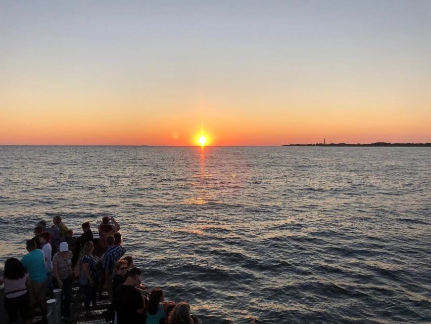 Cape May: Sunset Dolphin Cruise with Optional Wine Tastings - A Detailed Look at the Experience