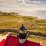 Cape May: Weekend Whale and Dolphin Watching Cruise - Who Will Love This Experience?