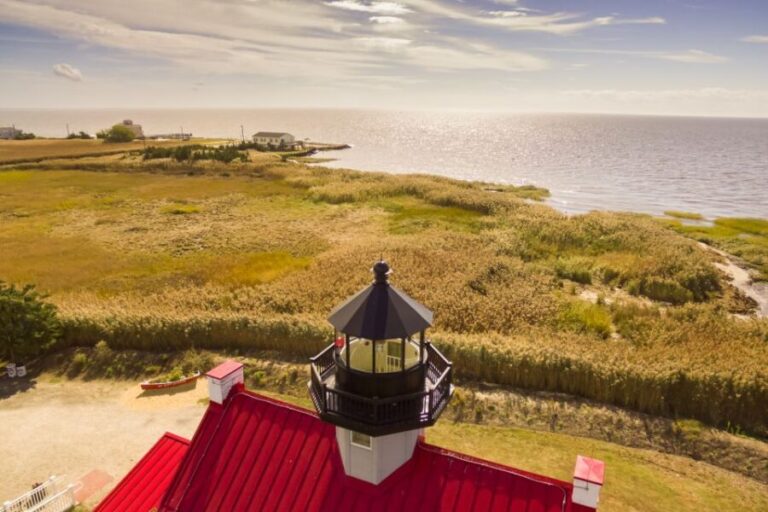 Cape May: Weekend Whale and Dolphin Watching Cruise - Who Will Love This Experience?