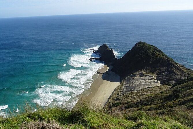 Cape Reinga Half-Day Tour Including Scenic Flight - Who Will Love This Tour?