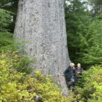 Cape Scott: San Josef Bay Day Hike with Scenic Drive - Who Should Consider This Tour