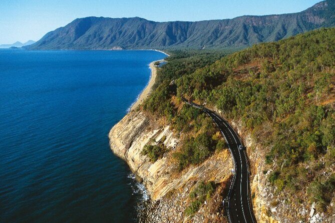 Cape Tribulation and Daintree Wilderness Day Tour in Cairns - Authentic Experiences and What Travelers Say