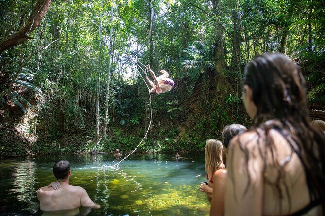 Cape Tribulation Day Tour from Cairns - The Value of This Tour