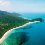 Cape Tribulation, Mossman Gorge and Daintree Rainforest Day Tour - The Sum Up