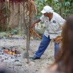 Cape Tribulation, Mossman Gorge, and Daintree Rainforest Day Trip - Why this tour works for travelers
